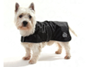 Dierenkleding