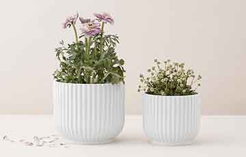 Bloempotten populaire categorie afbeelding